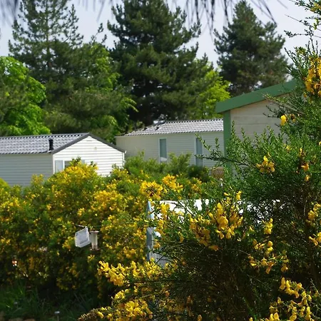 Le Domaine Des Jonquilles Camping Saint-Alban (Cotes-d'Armor)
